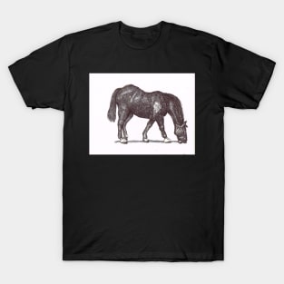 Grazing T-Shirt